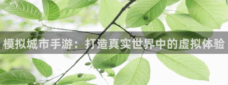 三牛公司：模拟城市手游：打造真实世界中的虚拟体验