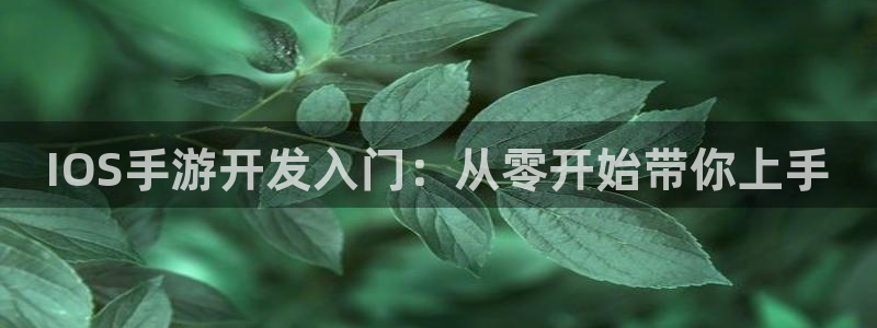 三牛娱乐官网登录入口下载安装：IOS手游开发入门：从零开始带