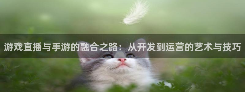 三牛娱乐测速系统：游戏直播与手游的融合之路：从开发到运营的艺