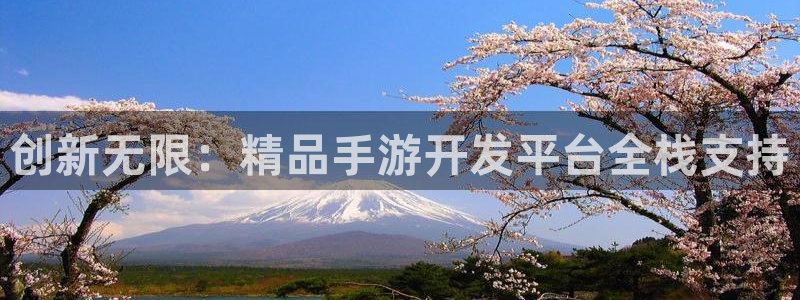 三牛娱乐如何注册：创新无限：精品手游开发平台全栈支持