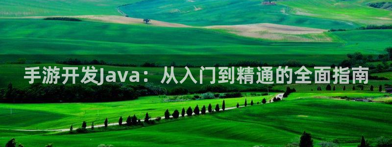 三牛娱乐哪里去了：手游开发Java：从入门到精通的全面指南