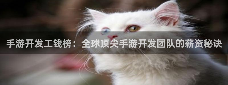 三牛娱乐官网登录入口下载安装：手游开发工钱榜：全球顶尖手游开