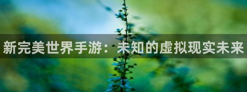 三牛娱乐：新完美世界手游：未知的虚拟现实未来