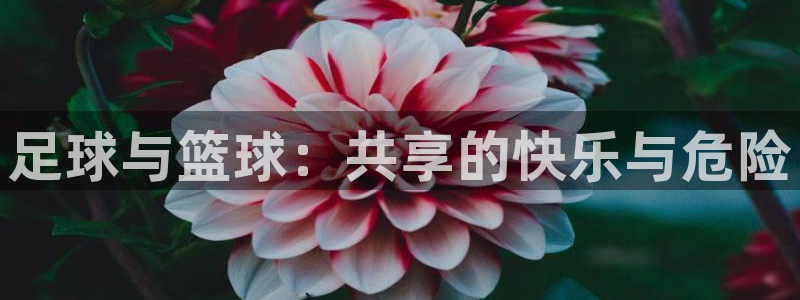k1体育平台下载：足球与篮球：共享的快乐与危险