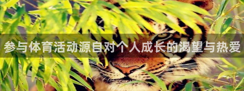 k1体育app官网登录入口：参与体育活动源自对个人成长的渴望与热爱