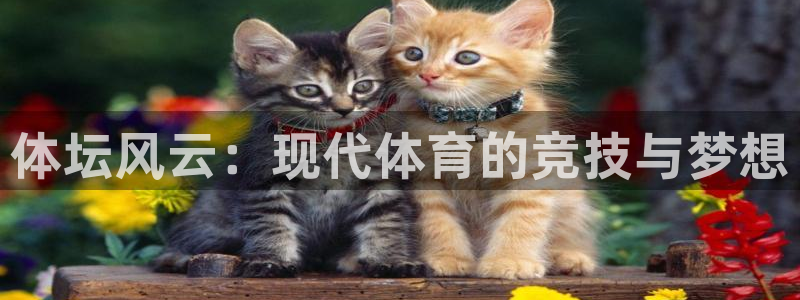 k1体育下载地址：体坛风云：现代体育的竞技与梦想