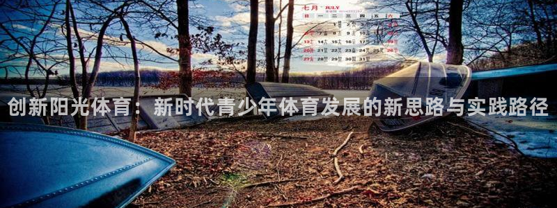 k1体育十年品牌值得信赖网址：创新阳光体育：新时代青少年体育发展的新思路与实践路径