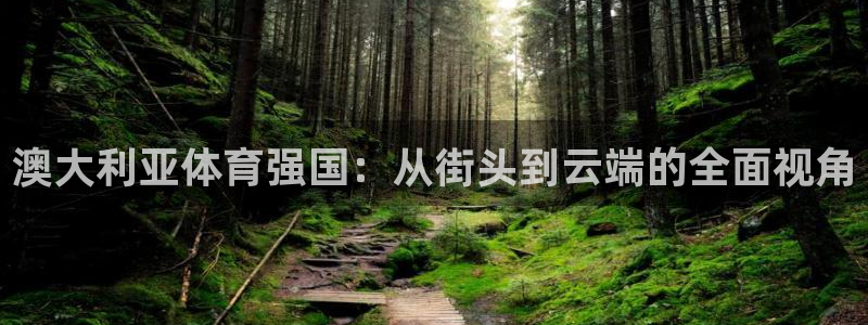 k1体育十年品牌官网：澳大利亚体育强国：从街头到云端的全面视角